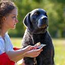 Entrenador usando una app de seguimiento canino