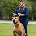 Perro reactivo aprendiendo a mantener la calma